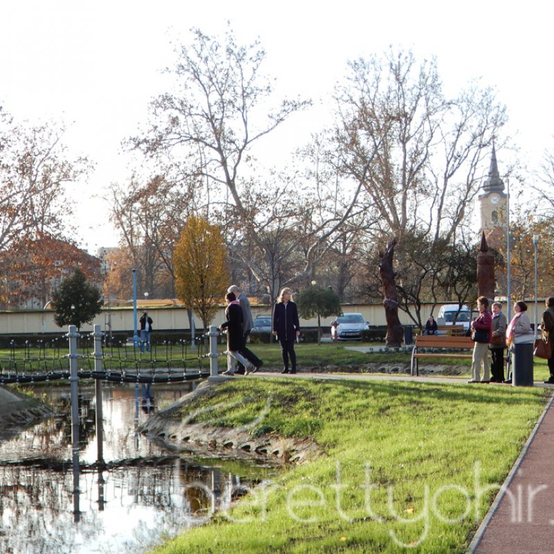 Tulipánfával a mellrák ellen 23